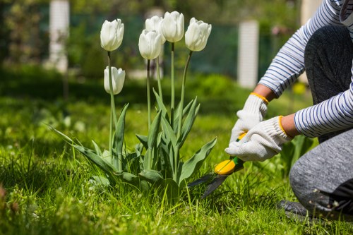 Gardener using shears to trim a hedge in Barking.
