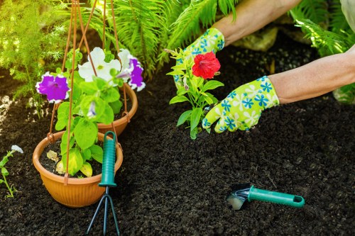 Professional hedge trimming by TopTrim Hedge Services in Barking