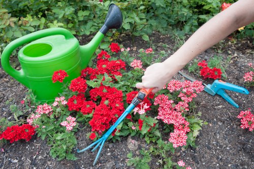 Professional gardener trimming hedges in a Barking garden