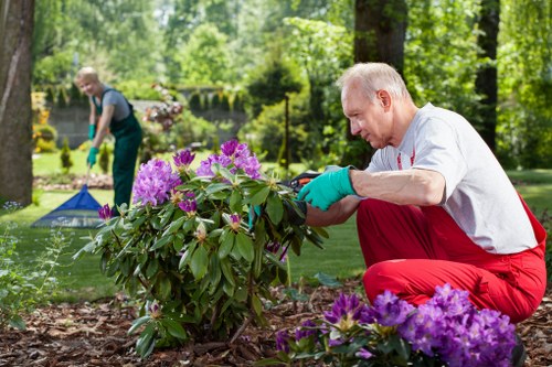 Modern tools used for garden clearance in Barking