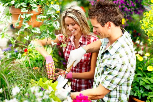Selection of plants for Barking gardens