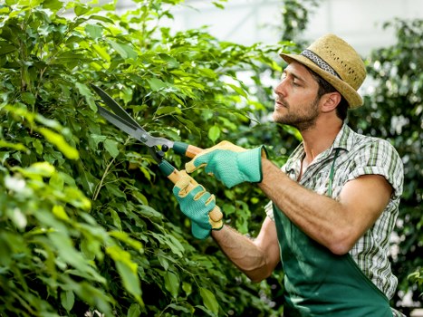 Professional lawn mowing service in Barking