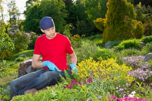 Close-up of hedges being trimmed near Barking