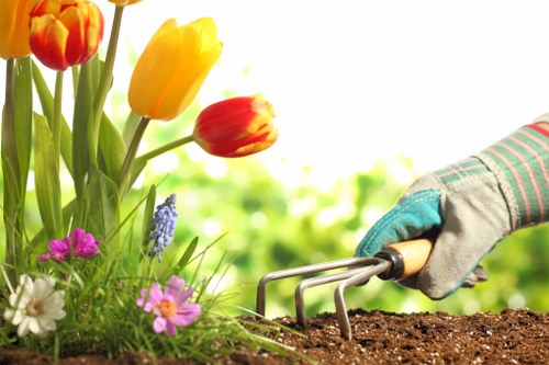 Seasonal hedge trimming ensuring healthy growth