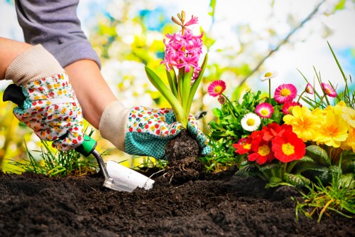 Eco-friendly lawn mowing equipment
