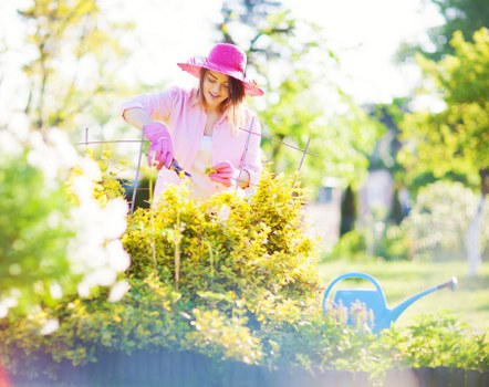 Seasonal lawn mowing tips for Barking residents