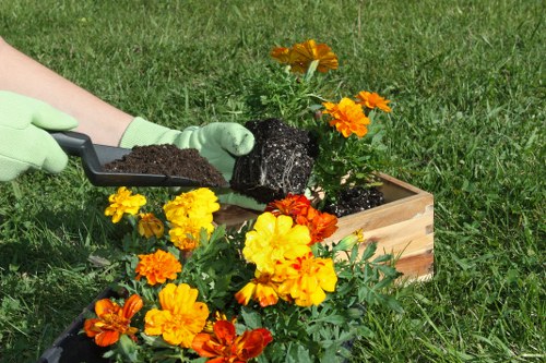 Benefits of professional lawn mowing