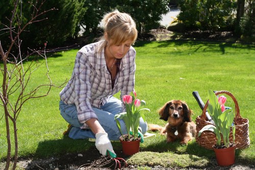 Gardener performing seasonal maintenance in Barking