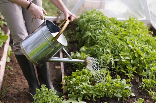 Hardscaping features enhancing a garden