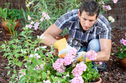Variety of plants thriving in Barking’s climate